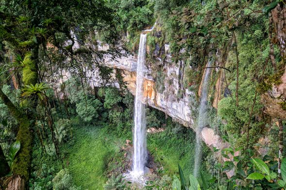 Yumbilla Waterfall Tour