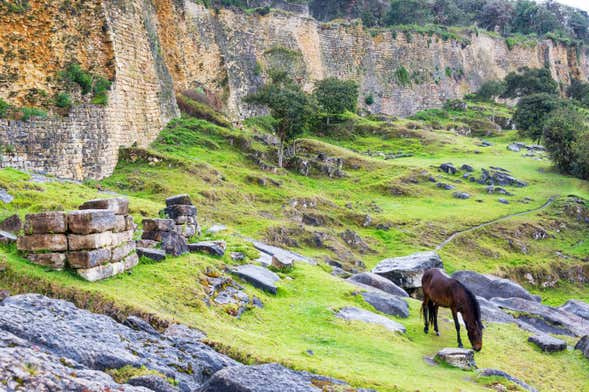 Excursión a la Fortaleza de Kuélap