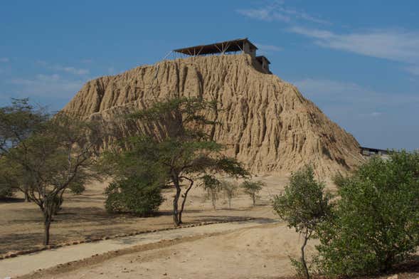 Tour privado a Túcume + Tumbas Reales de Sipán