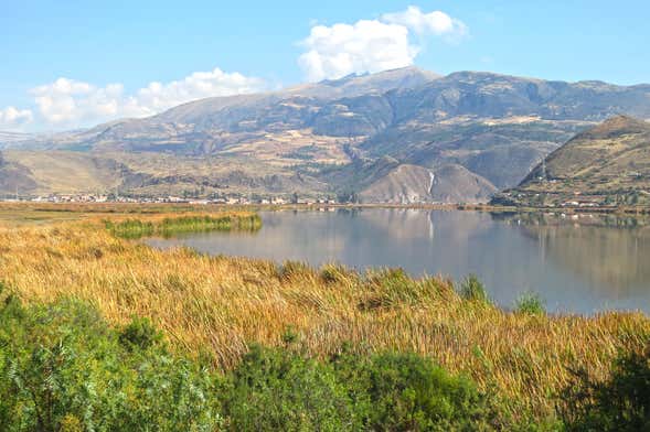 Birdwatching in Huacarpay Lake