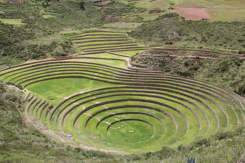 Anillos de Moray