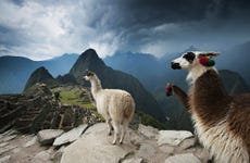 Selva de Machu Picchu e Vale Sagrado em 4 dias