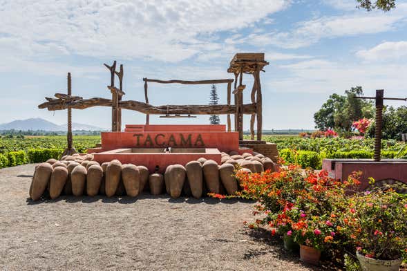 Visita a la hacienda de la bodega Tacama