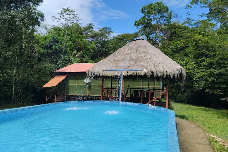 The hotel's pool