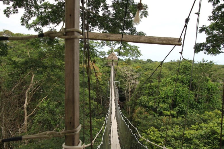 Cross a hanging bridge over the jungle