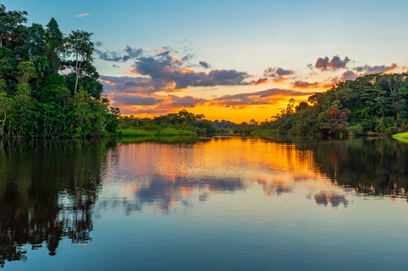Paseo en barco por los ríos Amazonas e Itaya