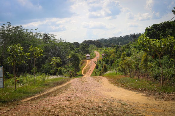 Iquitos Adventure Tour