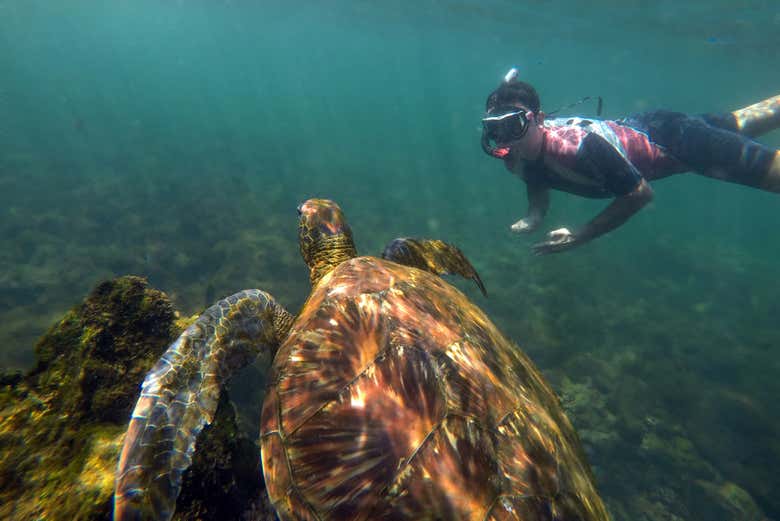 Exploring the seabed of Mancora