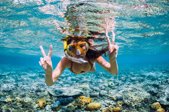 Snorkeling in Mancora