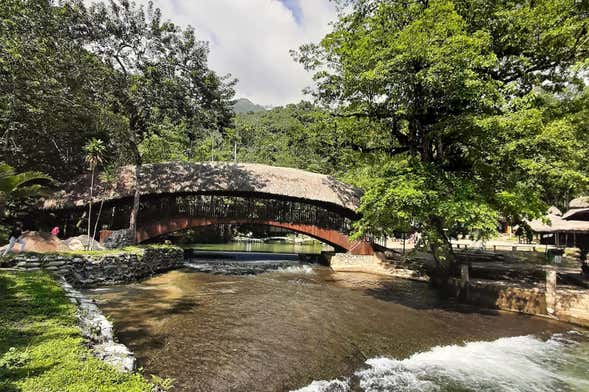 Santa Elena Reserve + Tioyacu River Private Tour