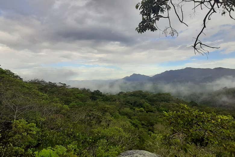 Durante a trilha