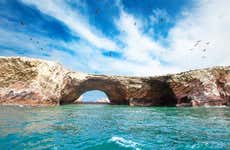 Islas Ballestas + Reserva Nacional de Paracas
