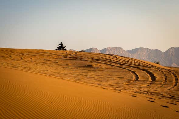 Paracas National Reserve Quad Bike Tour