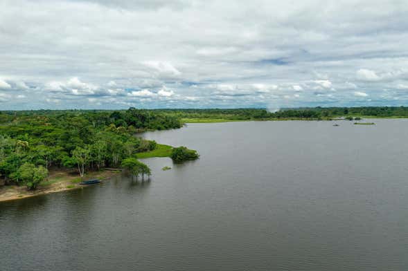 Cashibococha Lagoon Tour