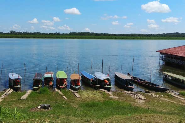 Escursione alle lagune di Yarinacocha e Pacacocha