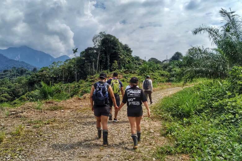 Hike through the Peruvian jungle