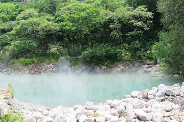 Mayantuyacu River Day Trip