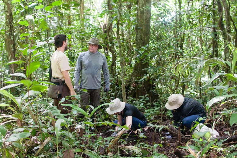 Caminando entre la flora de la selva peruana