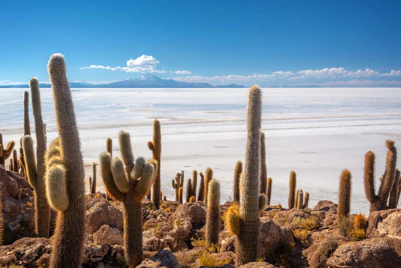 Recorreremos la Isla Incahuasi