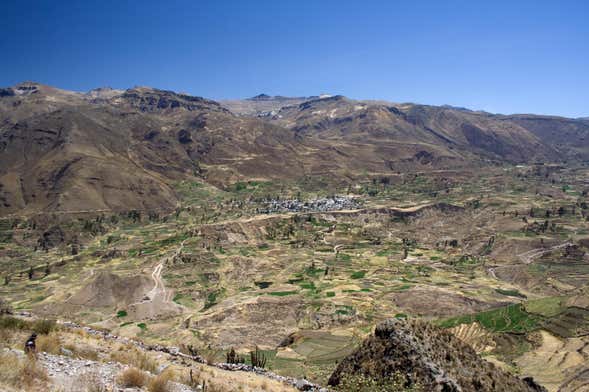 Tour de 2 días por el Cañón del Colca finalizando en Arequipa