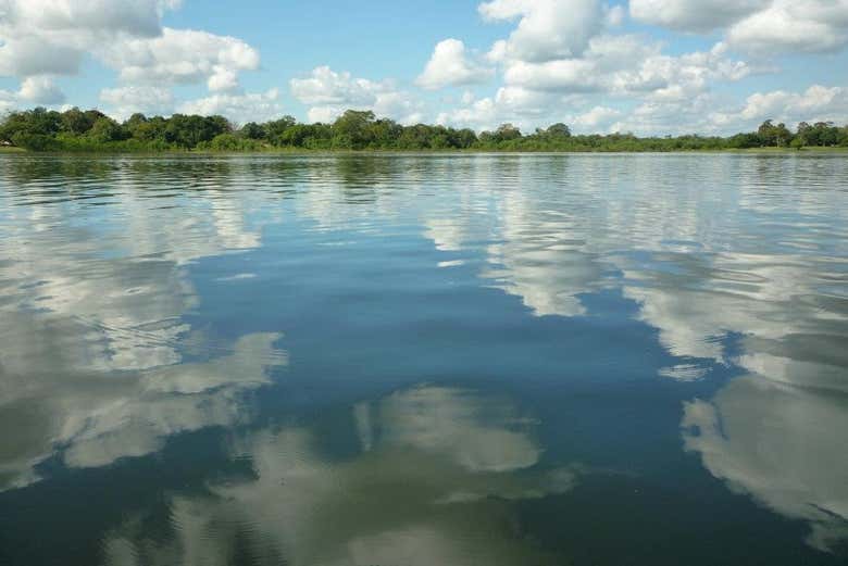 Mangroves of Tumbes