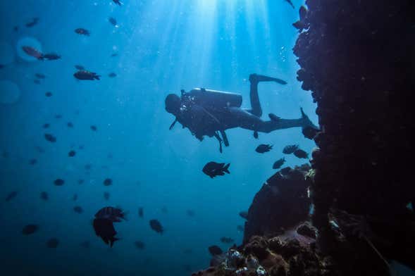 Buceo en San Bartolo