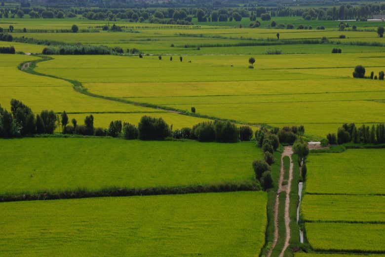 Moquegua's countryside