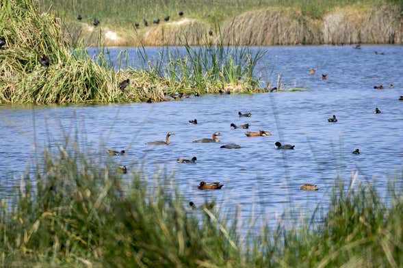 Puerto Grau, Ite Wetlands & Tacahuay Hills Day Trip