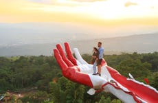 Taytamaki Park Tour + Viewpoint