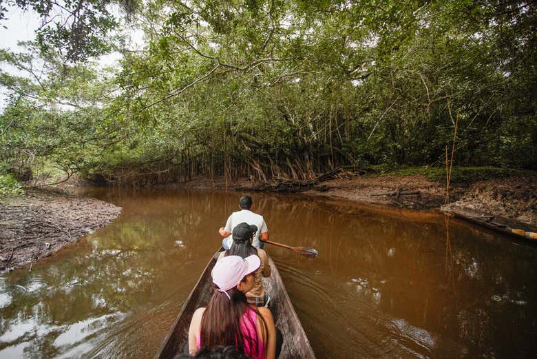 Paseando en canoa por el bosque inundado del río Avisado