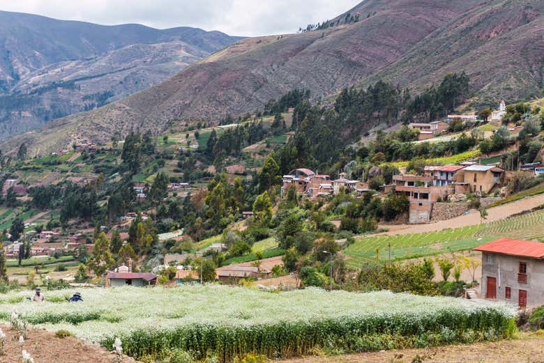 Visit the Valley of the Flowers