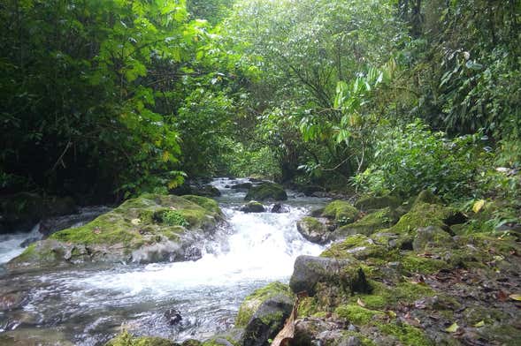 Excursion à Gloriapata