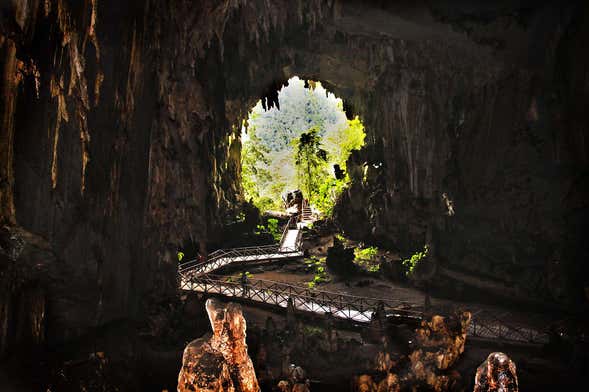 Tingo María National Park Tour