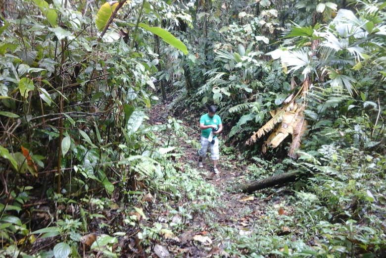 Hiking in the jungle