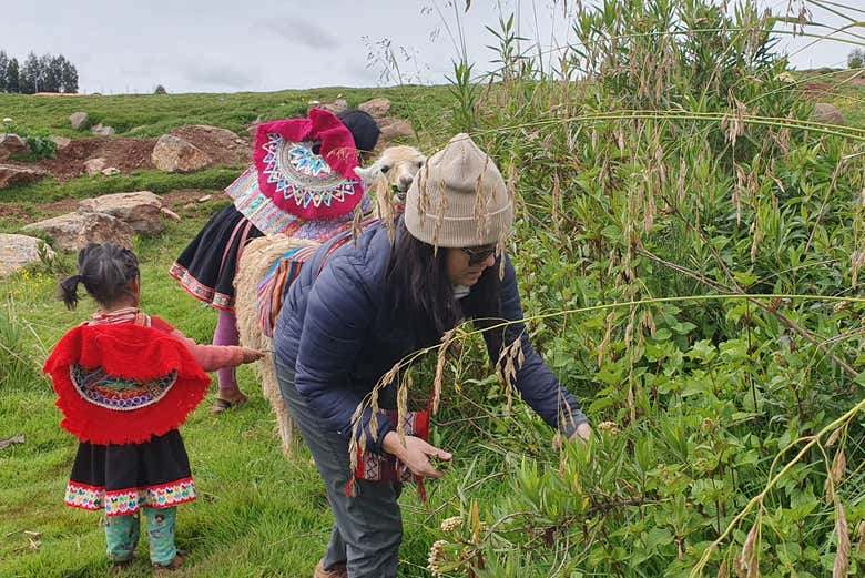 Immerse yourself in Andean culture