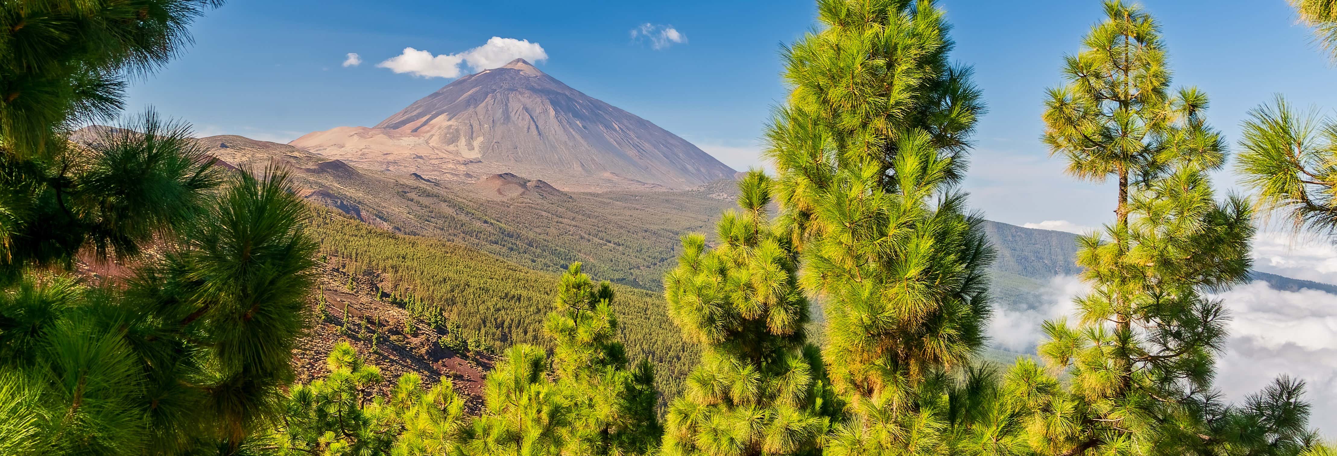 Parque Nacional del Teide