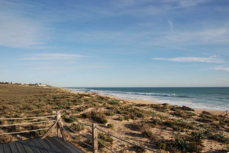 Albufeira Segway Tour - Book Online at Civitatis.com