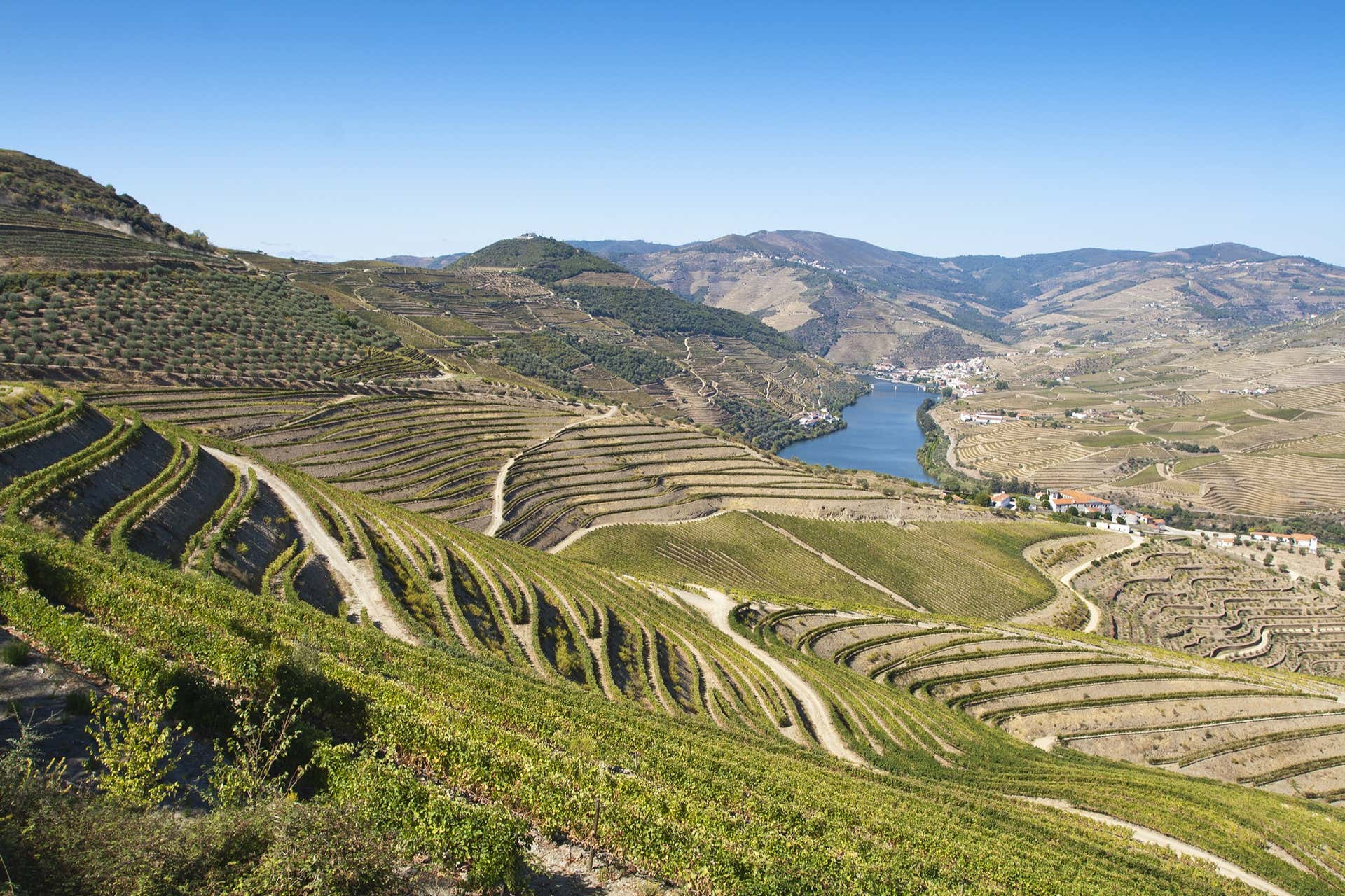 Douro Region Tour from Amarante - Book Online at Civitatis.com