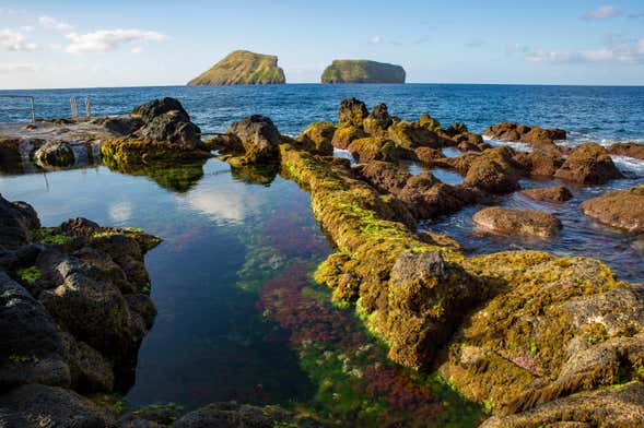 Tour por la costa este de Terceira