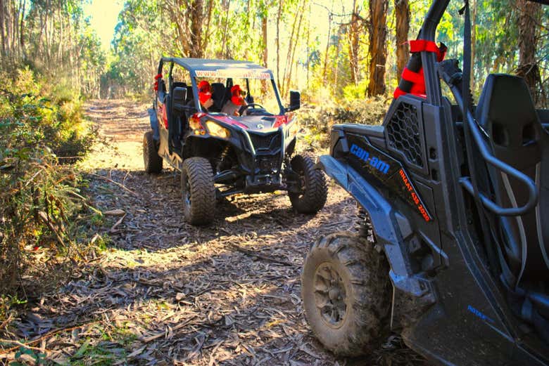 Pilotando o buggy no bosque