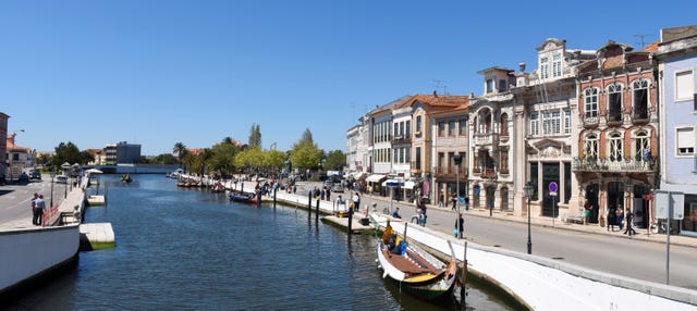 The BEST Aveiro Tours and Things to Do in 2023 - FREE Cancellation