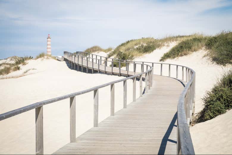 Stroll along the wooden walkways at Praia da Barra