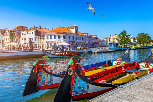 Tour privato di Aveiro