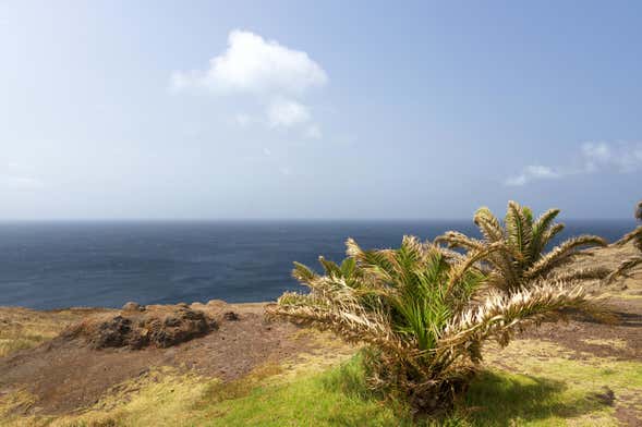 Ponta de São Lourenço + Kayaking & Snorkeling Tour