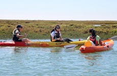 Algarve Kayak Tour: Ria Formosa
