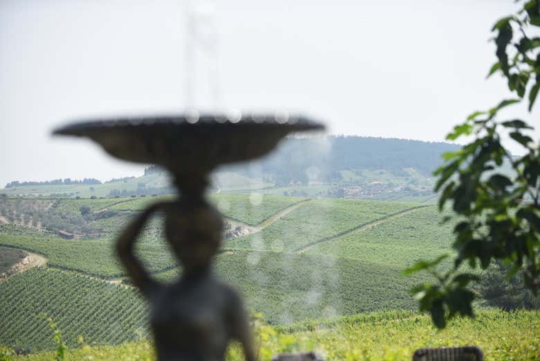 Fuentes en la Quinta da Avessada