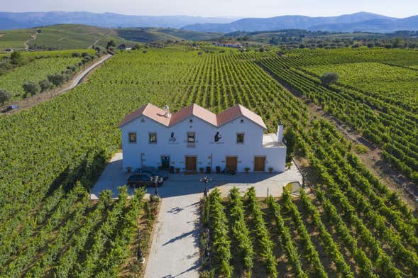 Visita a la bodega Quinta da Avessada