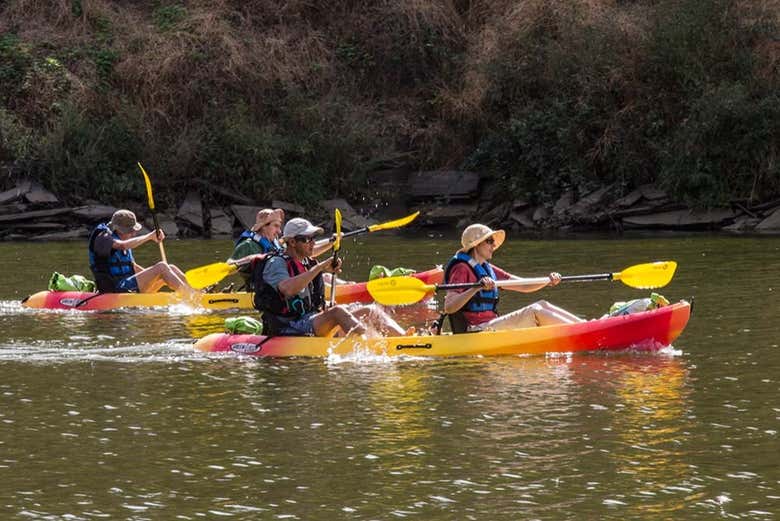 Kayak along the Côa River