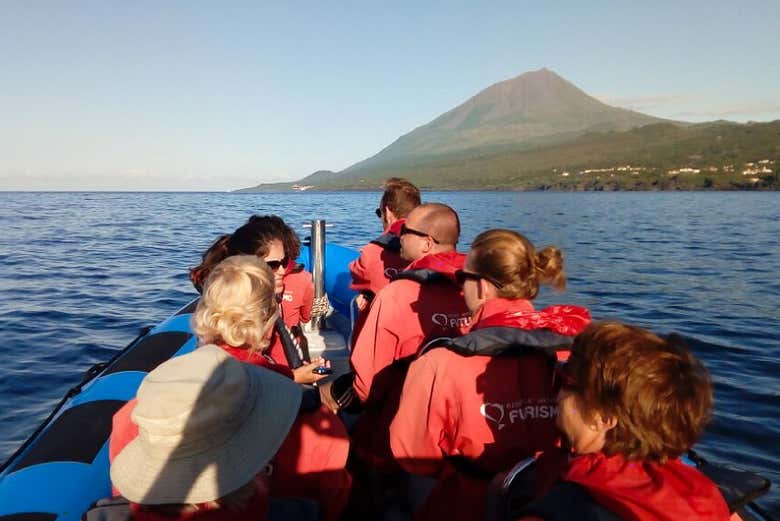 Navegaremos en una zodiac por la costa sur de Pico