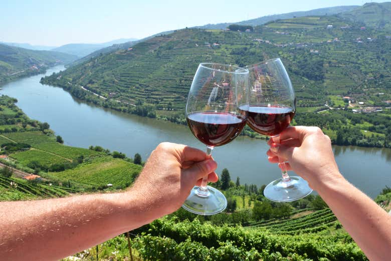 Enjoy wine in the Duero Valley